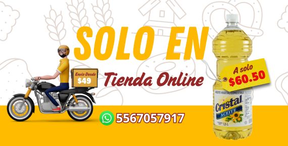SOLO EN.jpg